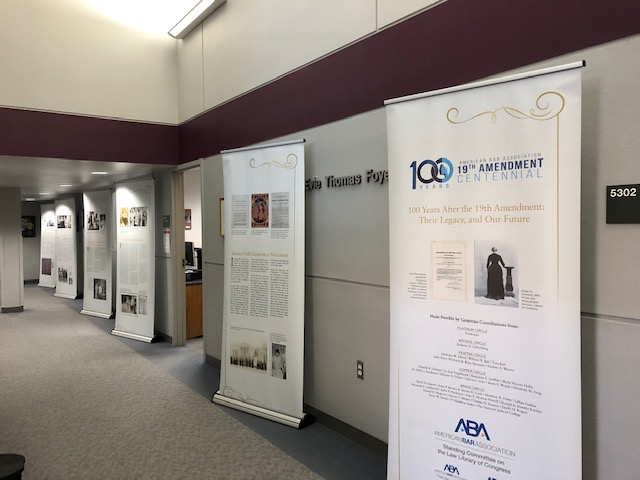 19th Amendment Centennial Banners